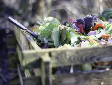 Was man alles über den Kompost und Gartenboden wissen sollte
