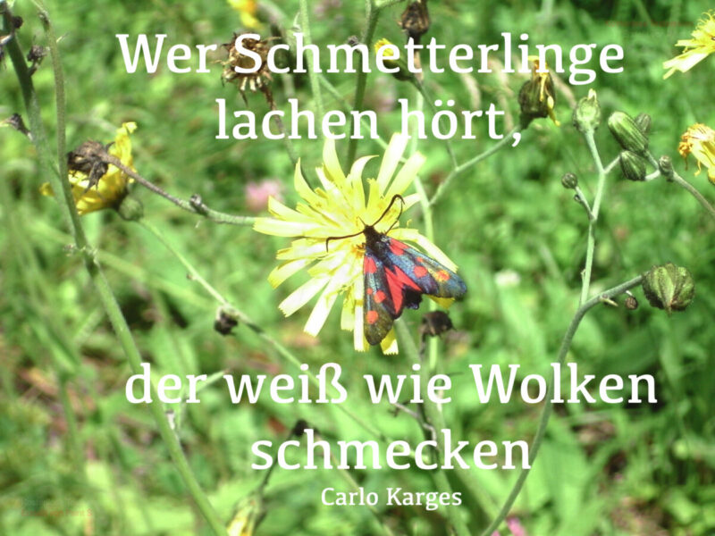 Die Seite für schöne Gartensprüche und Texte. Rhöner Gartenfreunde