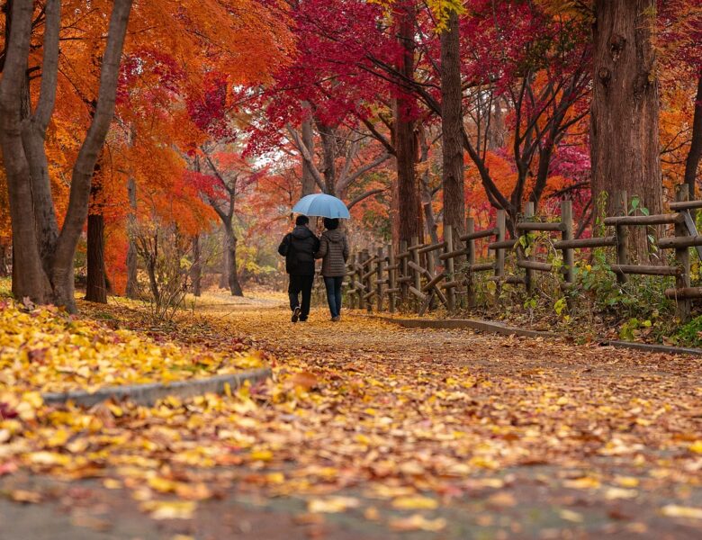 Nasses Herbstlaub als Unfallursache