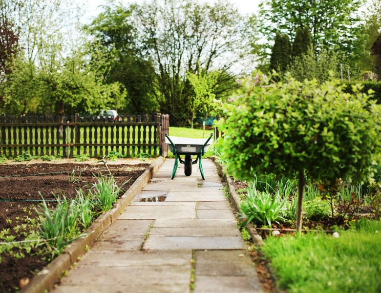 Welche Regeln gelten im Schrebergarten?