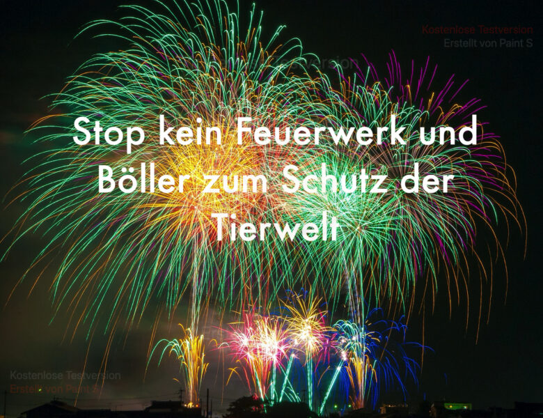 Silvesterböller und Raketen, großer Stress und Todesgefahr für Wildtiere.