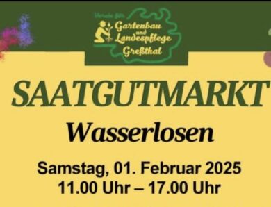 großer Saatgut und Taschmarkt