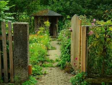 Auch in 2025 werden im Ladkreis Rhön Grabfeld wieder Gärten für den Tag der offenen Gartetür gesucht.