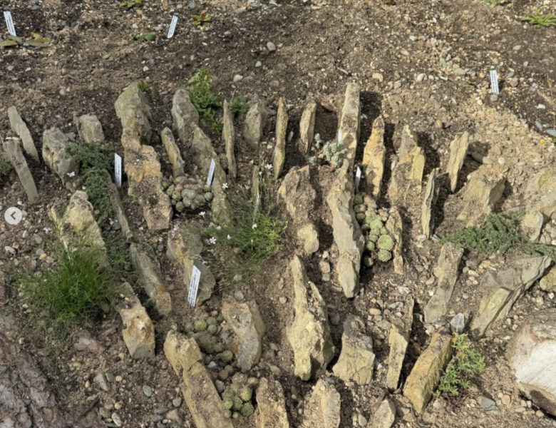 sehr aufschlußreiche Seite eines tollen Naturgartens im Landkreis Bad Kissingen