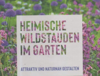 Heimische Wildstauden im Garten: Attraktiv und naturnah gestalte